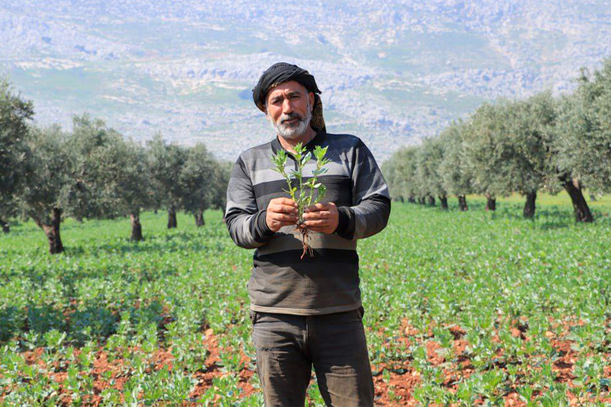 Why Syrian Forum – Syrian Forum